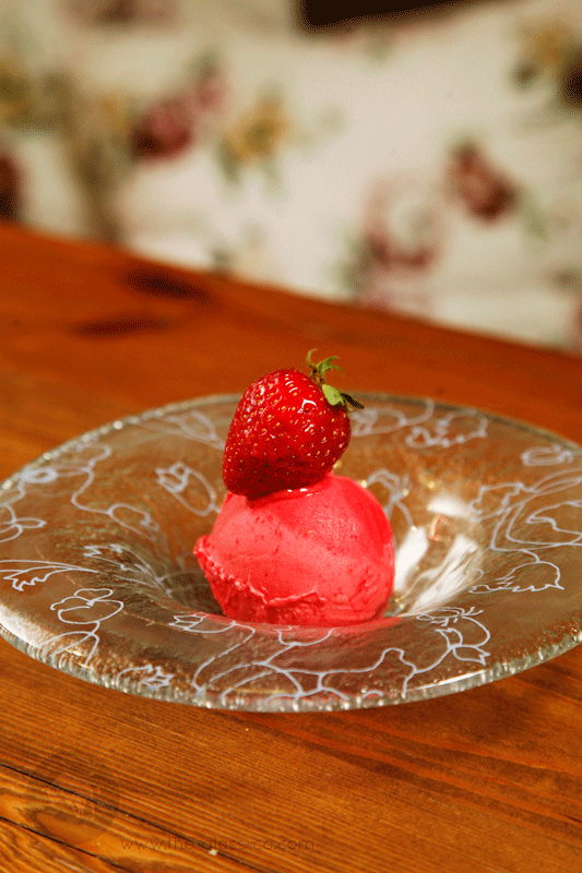 ice cream presentation bowls small round bowl large rim MyGlassStudio