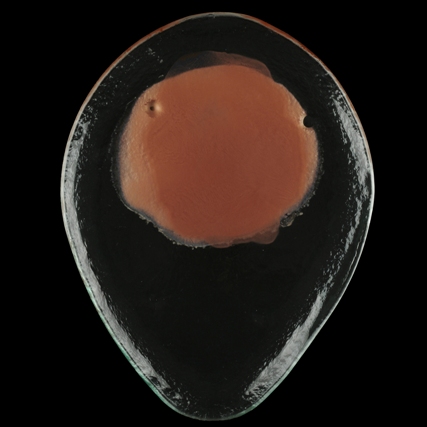 handcrafted plates for restaurants Tokyo Collection Caramel Copper show plate MyGlassStudio
