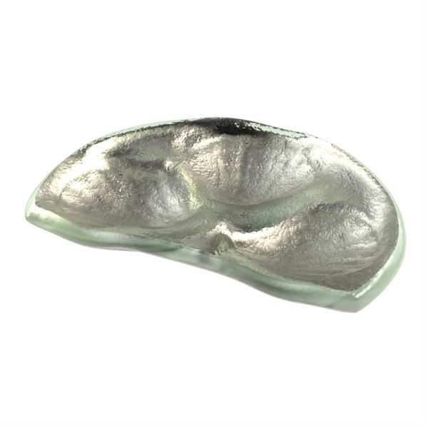 Oyster Tray