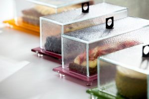 Rectangular Food Cloche