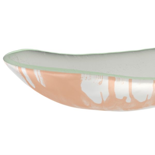 Fruit Bowl - Image 3