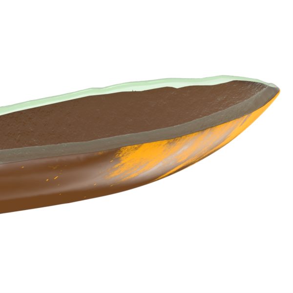 Fruit Bowl - Image 3